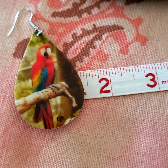 Macaw Parrot Earrings Tropical Bird Forest Teardro - Picture 5 of 7